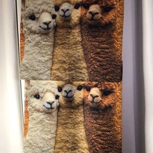 Pillow covers lot718 alpaca pillow covers!